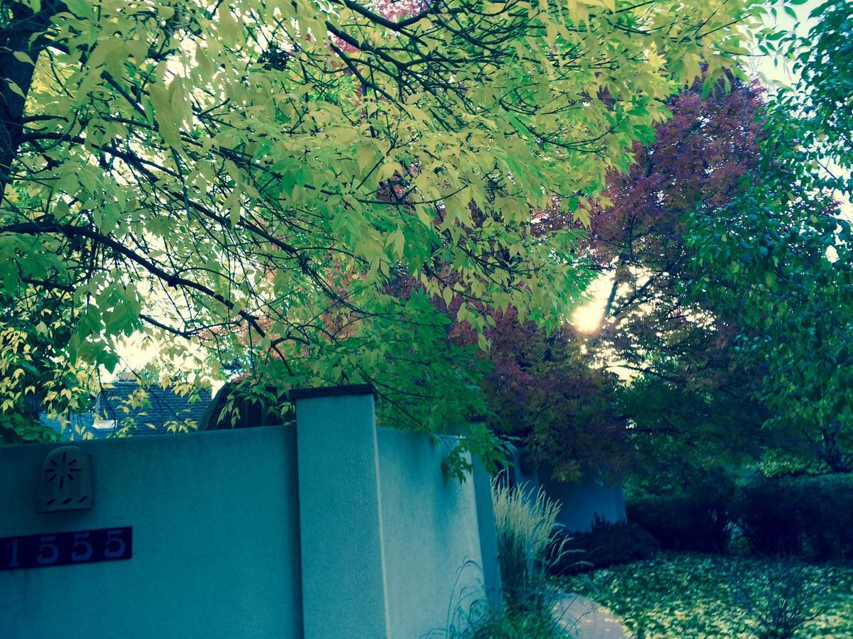 Like Home But Better! A Boulder Favorite!! Exterior foto
